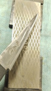 KIMG1869