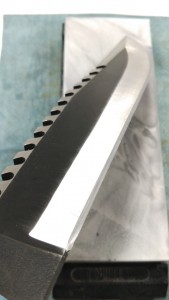 KIMG2508