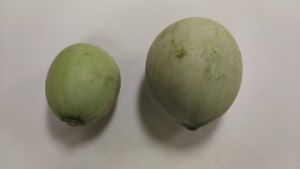 KIMG0566