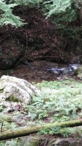 KIMG0709