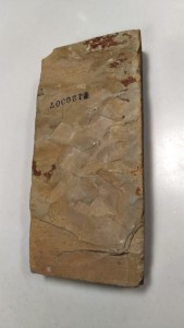 KIMG0862